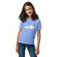 Goose and Cloud children's t-shirt in blue